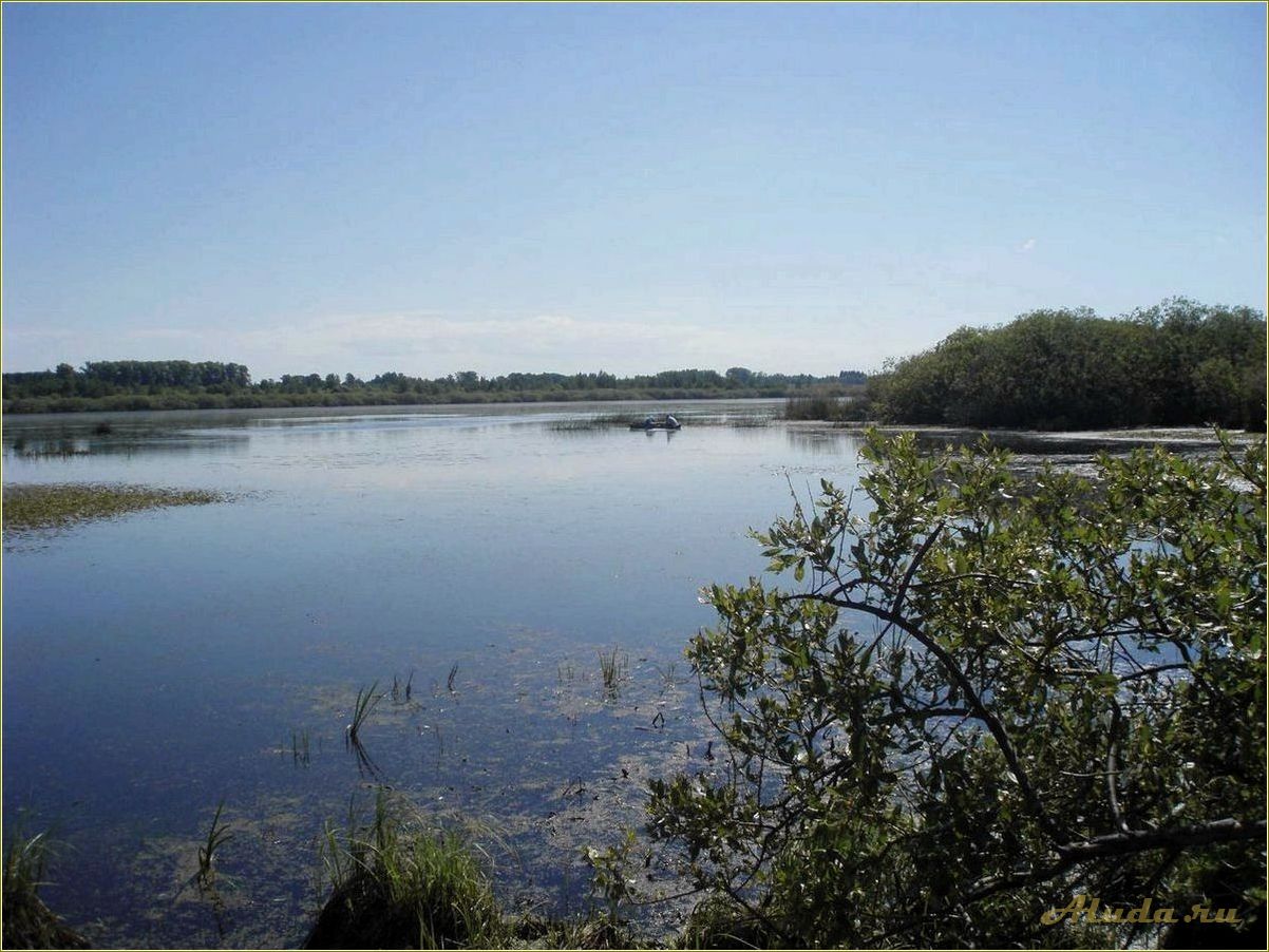 Смоленская область: отдых и рыбалка у озера