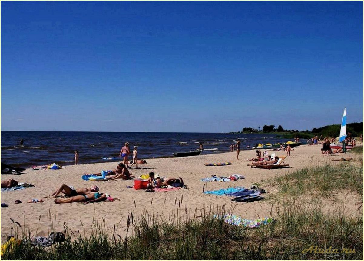 Спицыно — псковская область идеальное место для базы отдыха на природе