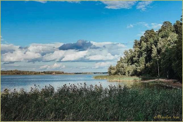 (отдых, старой, майне, ульяновской, области) Отдых в старой майне Ульяновской области