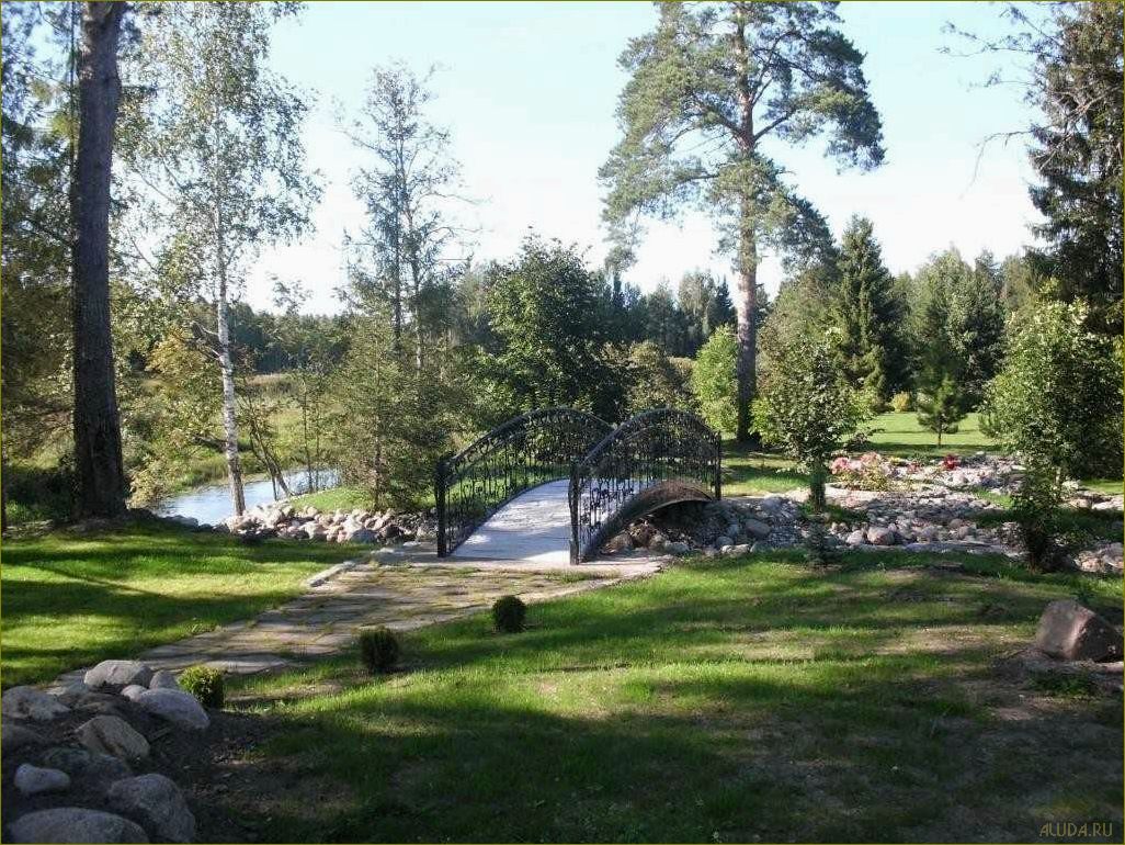 Троицкое Вологодская область — идеальная база отдыха среди природы, комфорта и развлечений