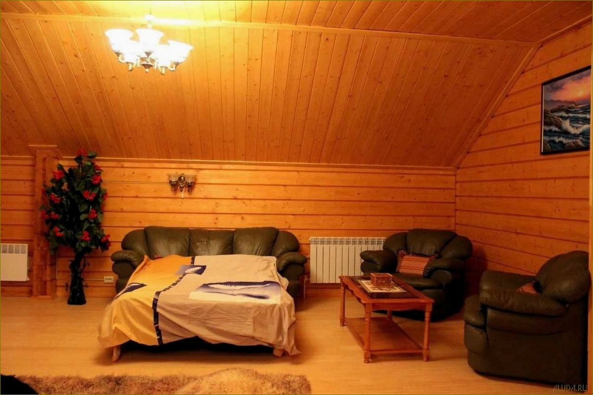 Троицкое Вологодская область — идеальная база отдыха среди природы, комфорта и развлечений