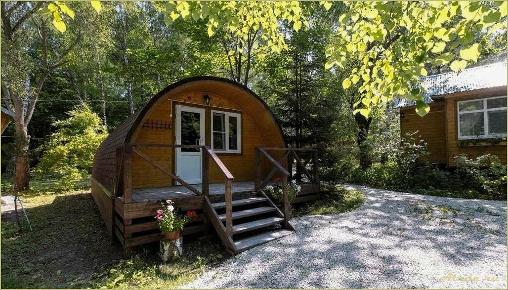 (тульская, область, отдыха, идеального, отпуска) Тульская область: дом отдыха для идеального отпуска