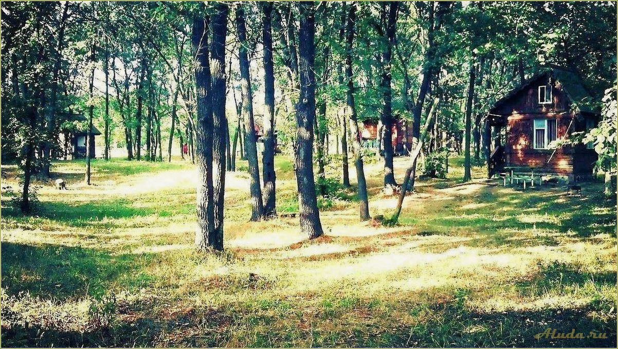 Турбаза для семейного отдыха Самарская область