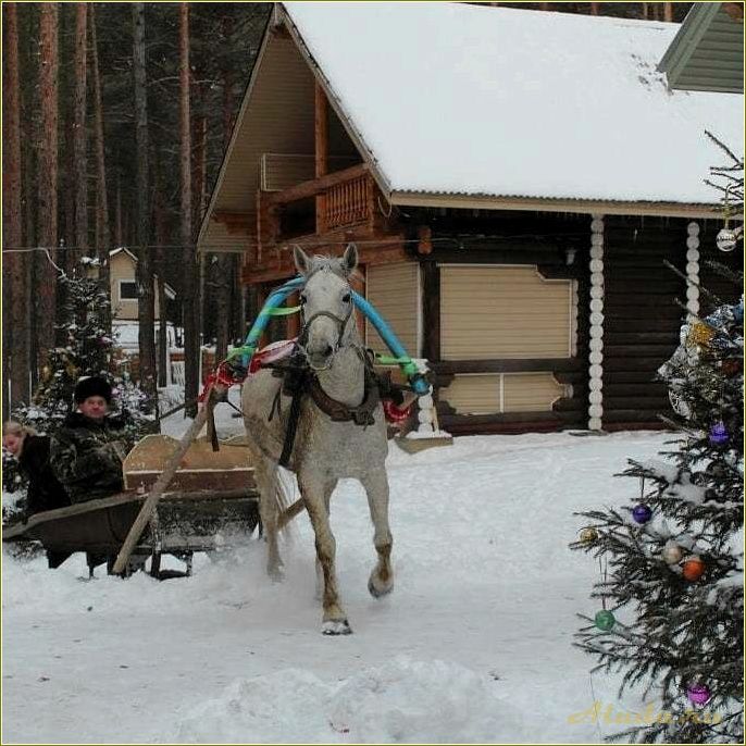 Ульяновская область: база отдыха Разгуляево