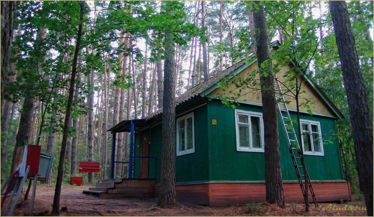 Ульяновская область: база отдыха 