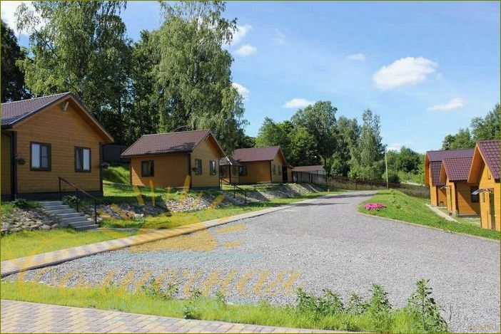 Александровка — идеальное место для отдыха в Ленинградской области, где вас ждет комфорт, природа и множество развлечений