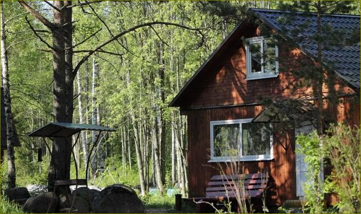 Александровка — идеальное место для отдыха в Ленинградской области, где вас ждет комфорт, природа и множество развлечений