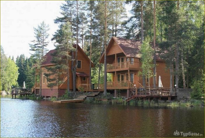 Александровка — идеальное место для отдыха в Ленинградской области, где вас ждет комфорт, природа и множество развлечений