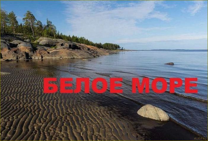 (отдых, белого, моря, летом, архангельской) Отдых у белого моря летом в Архангельской области — путешествия, природа, достопримечательности и активный отдых