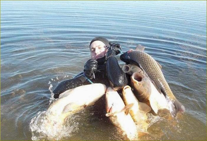 Астраханская область — идеальный отдых на берегу Каспийского моря, пляжи, природа и гастрономические удовольствия