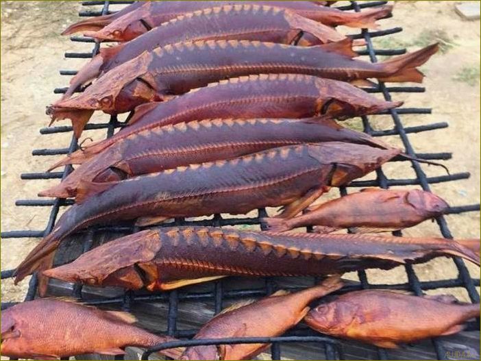 (астраханская, область, пляжи, море, лучшие) Астраханская область — пляжи, море и лучшие отели для отдыха в уникальном регионе