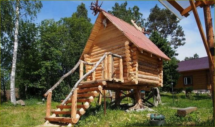 (прекрасная, база, отдыха, окружении, природы) Прекрасная база отдыха в окружении природы — Беличье в Ленинградской области — идеальное место для релакса и активного отдыха