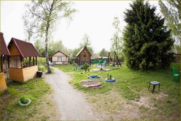(прекрасная, база, отдыха, окружении, природы) Прекрасная база отдыха в окружении природы — Беличье в Ленинградской области — идеальное место для релакса и активного отдыха