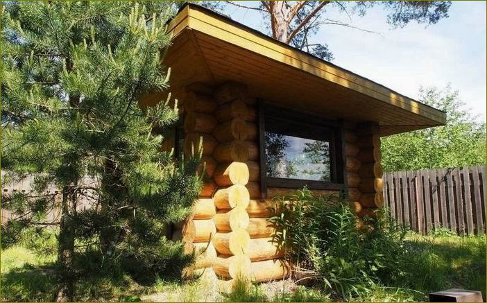 (прекрасная, база, отдыха, окружении, природы) Прекрасная база отдыха в окружении природы — Беличье в Ленинградской области — идеальное место для релакса и активного отдыха