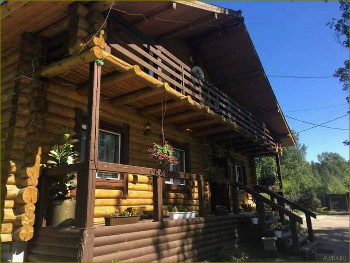 (прекрасная, база, отдыха, окружении, природы) Прекрасная база отдыха в окружении природы — Беличье в Ленинградской области — идеальное место для релакса и активного отдыха