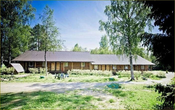 (прекрасная, база, отдыха, окружении, природы) Прекрасная база отдыха в окружении природы — Беличье в Ленинградской области — идеальное место для релакса и активного отдыха