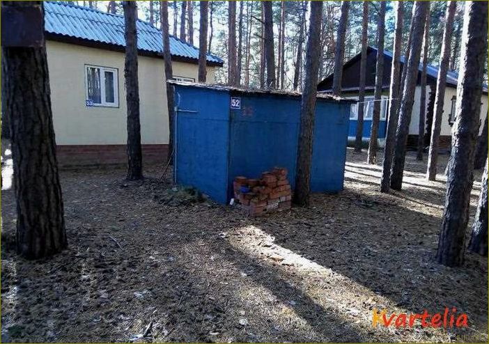 База отдыха 