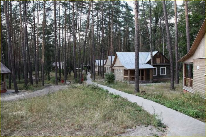 База отдыха 