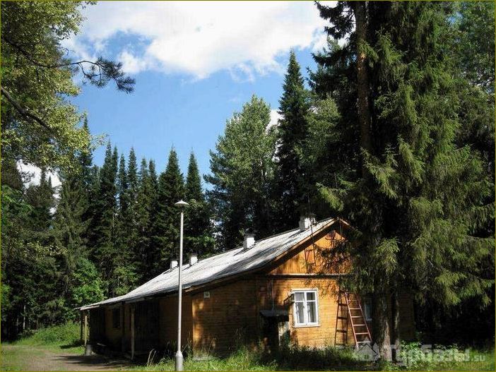 Уникальная база отдыха в Кировской области с живописной рекой и комфортными условиями