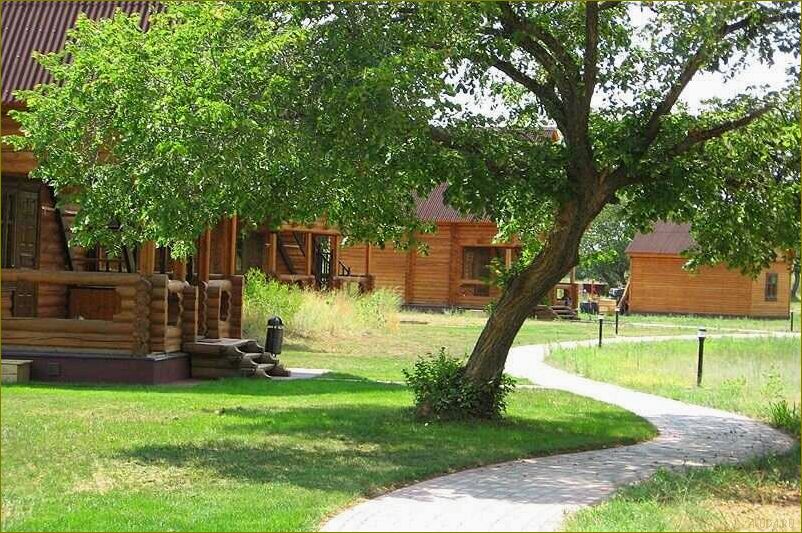 Уникальный отдых среди природы — база отдыха 