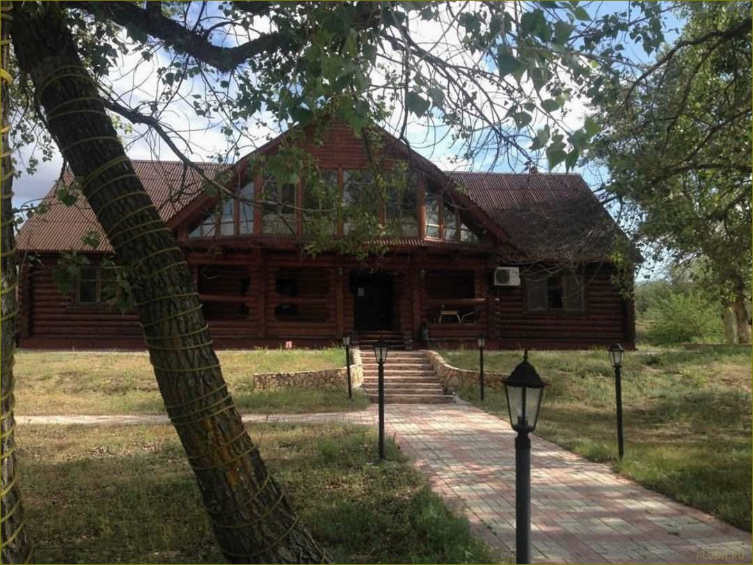 Уникальный отдых среди природы — база отдыха 