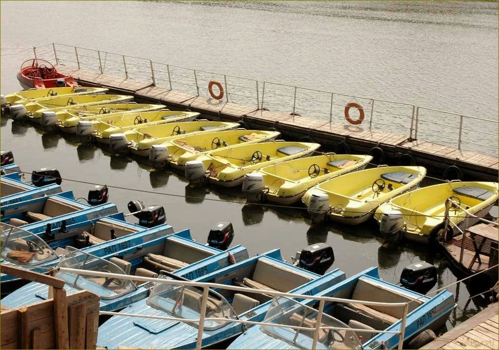 Уникальный отдых среди природы — база отдыха 