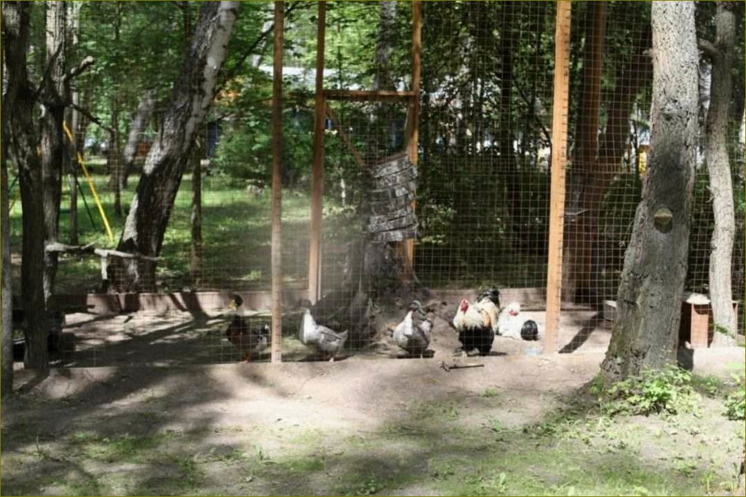 База отдыха 