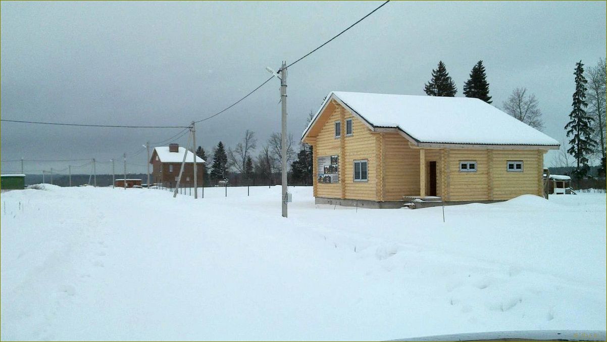 (база, отдыха, алешкино, советском, районе) База отдыха