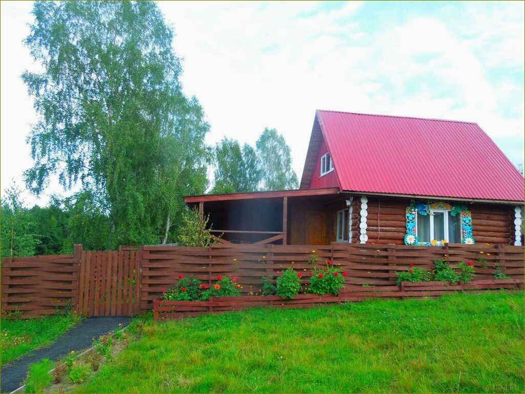 (база, отдыха, алешкино, советском, районе) База отдыха