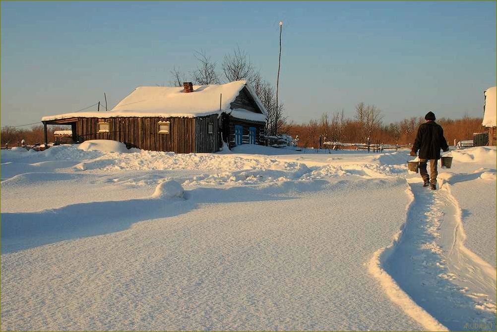 (база, отдыха, алешкино, советском, районе) База отдыха
