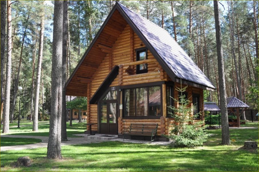 База отдыха 