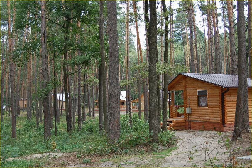 База отдыха 