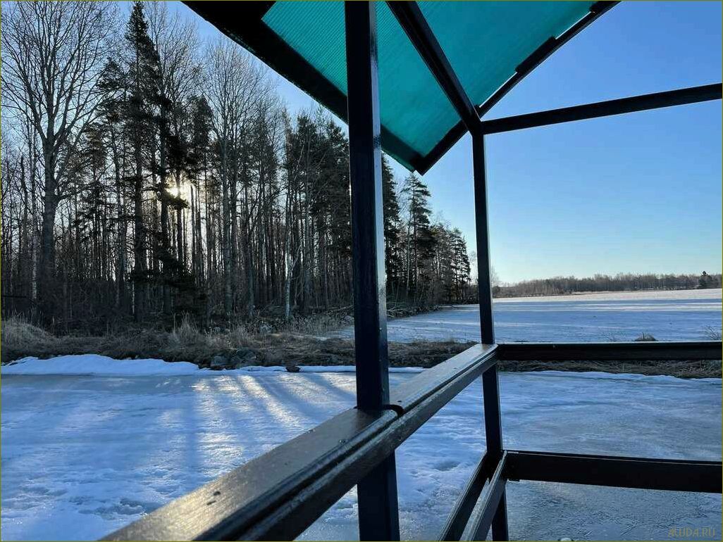 Отдых в уникальной природной оазисе Базы отдыха 