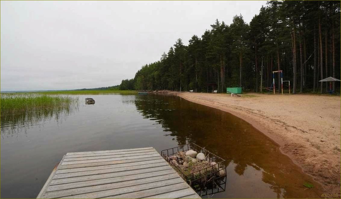 Отдых в уникальной природной оазисе Базы отдыха 