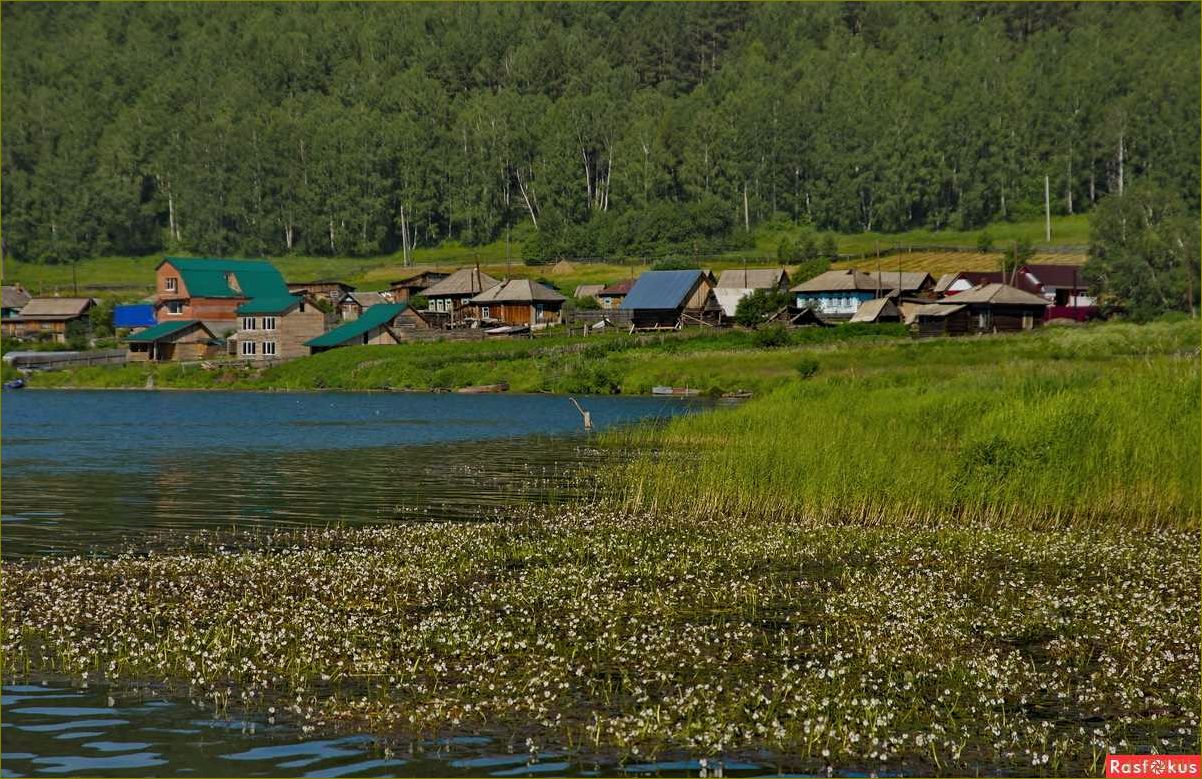 (лучшие, базы, отдыха, живописных, берчикульских) Лучшие базы отдыха в живописных берчикульских уголках Кемеровской области — идеальное место для незабываемых каникул и релаксации