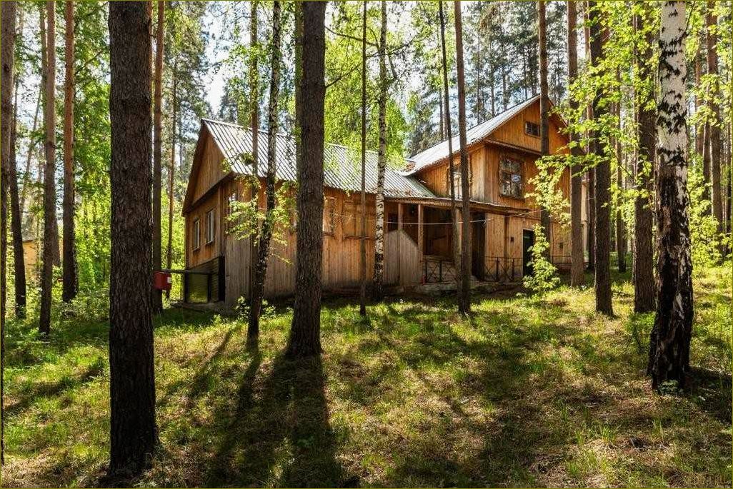 (идеальные, места, отдыха, курганской, области) Идеальные места для отдыха в Курганской области — базы с уникальными условиями и разнообразными развлечениями