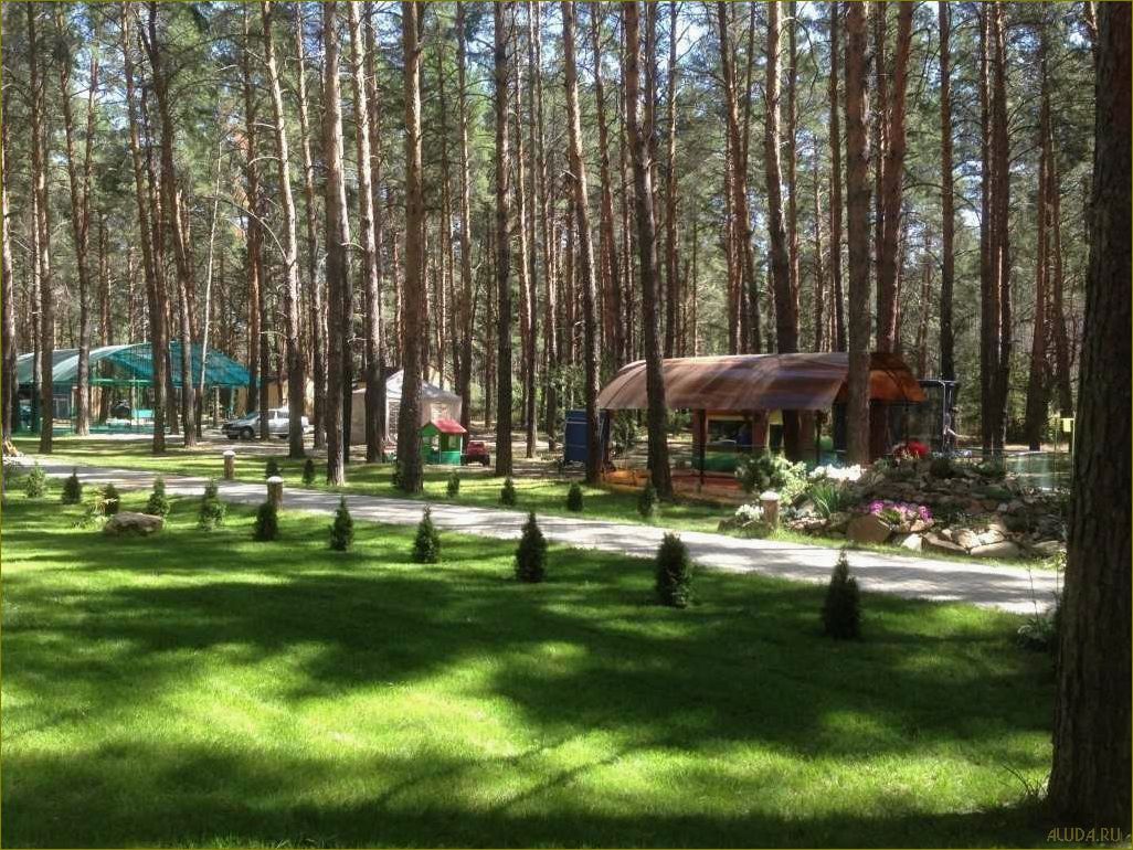 Лучшие базы отдыха Урюпинска, расположенные в живописной Волгоградской области, где вы сможете насладиться комфортом, природой и отличным сервисом