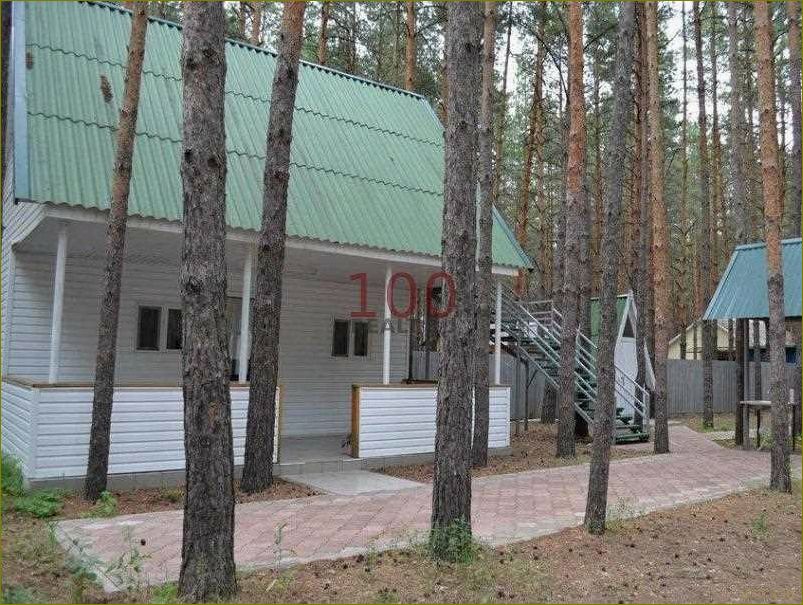 Лучшие базы отдыха Урюпинска, расположенные в живописной Волгоградской области, где вы сможете насладиться комфортом, природой и отличным сервисом