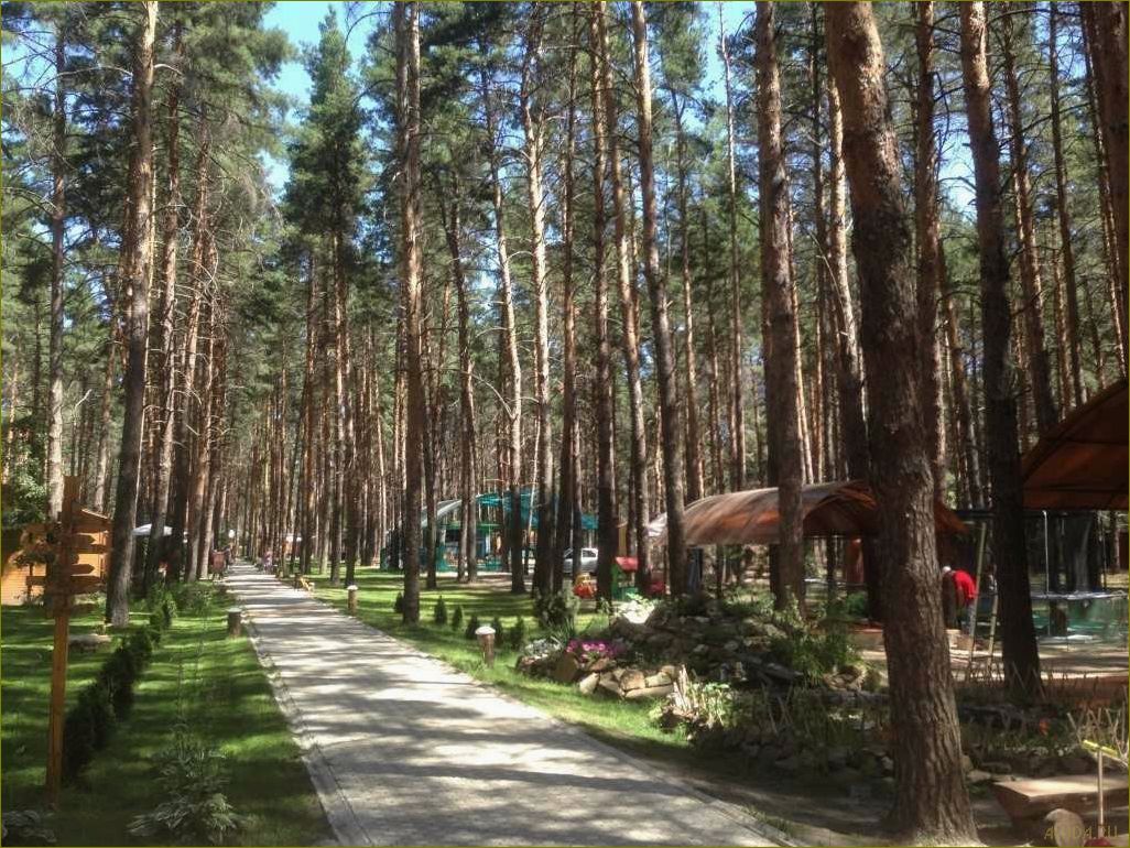 Лучшие базы отдыха Урюпинска, расположенные в живописной Волгоградской области, где вы сможете насладиться комфортом, природой и отличным сервисом