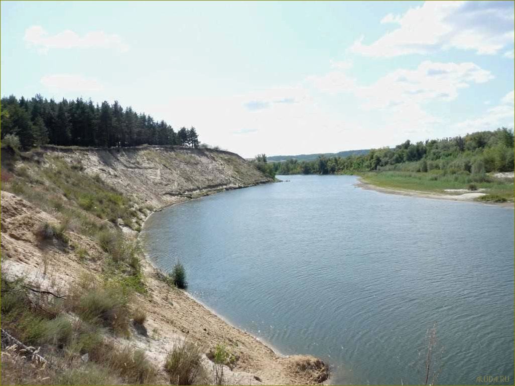 Лучшие базы отдыха Урюпинска, расположенные в живописной Волгоградской области, где вы сможете насладиться комфортом, природой и отличным сервисом
