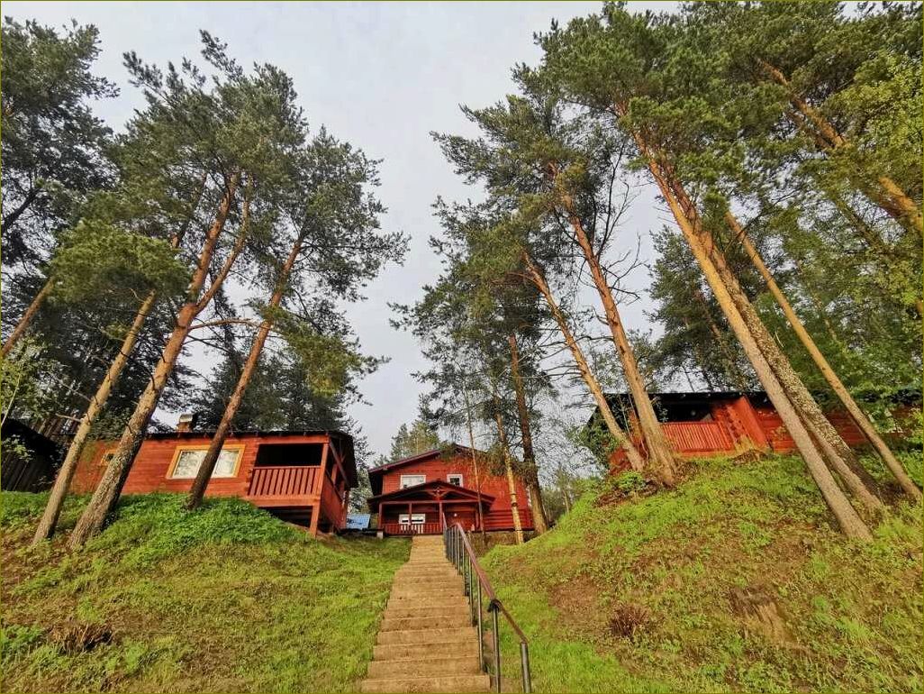 Расположение, услуги и преимущества баз отдыха в Устьянском районе Архангельской области 