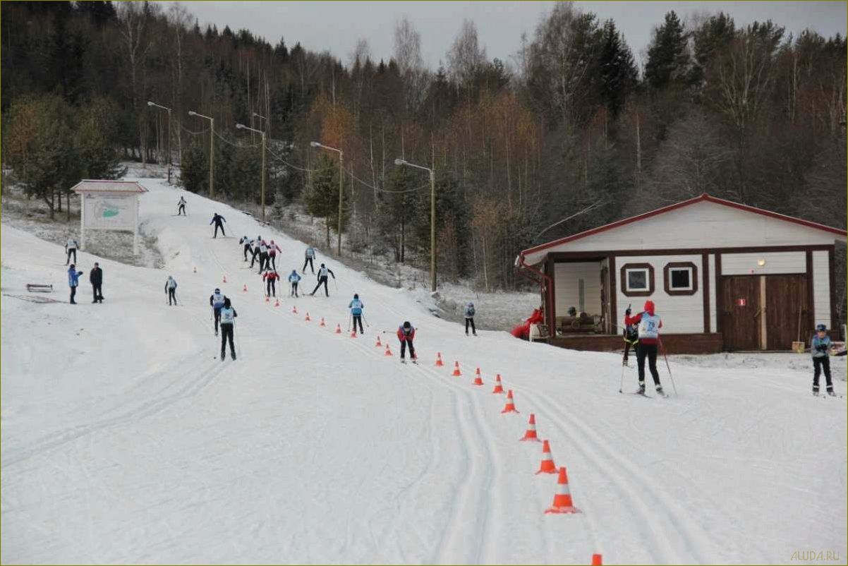Расположение, услуги и преимущества баз отдыха в Устьянском районе Архангельской области 