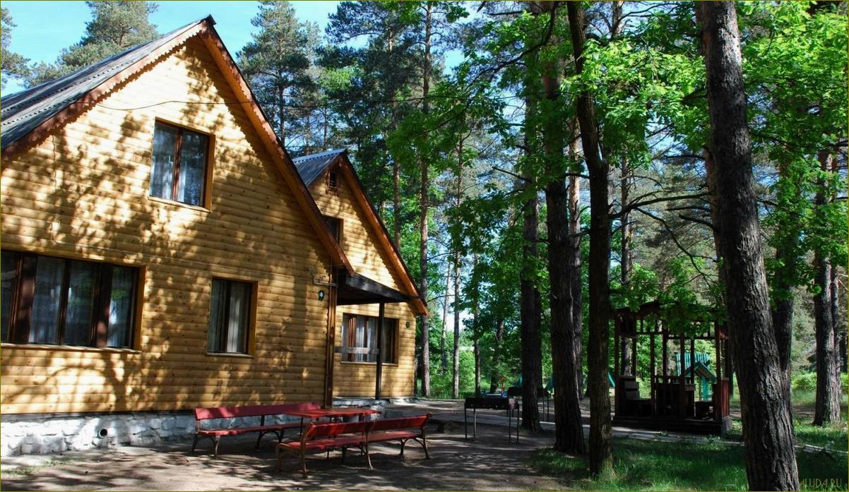 (лучшие, базы, отдыха, владимирской, области) Лучшие базы отдыха во Владимирской области для организации незабываемой свадьбы в окружении живописной природы, уникальных архитектурных памятников