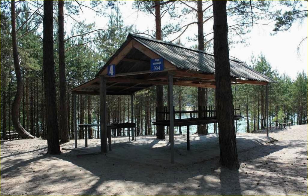 (боровское, база, отдыха, московской, области) Боровское база отдыха в Московской области — лучший выбор для отдыха на природе