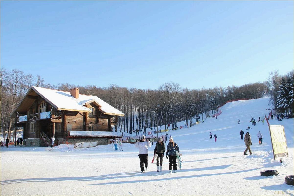 (боровское, база, отдыха, московской, области) Боровское база отдыха в Московской области — лучший выбор для отдыха на природе