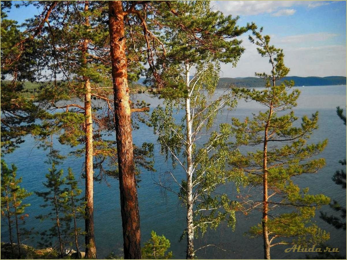 Челябинская область: отдых в сосновом лесу