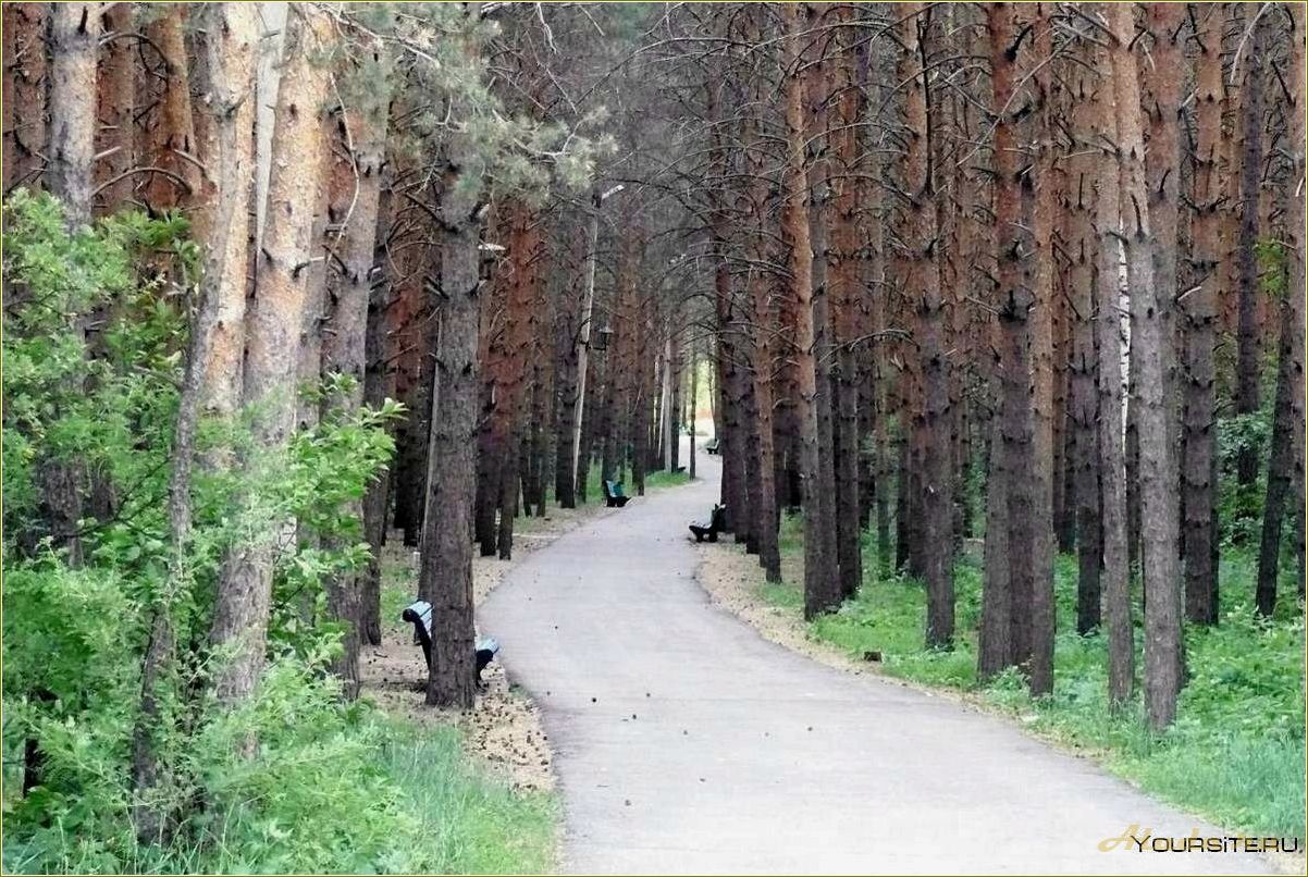 Челябинская область: отдых в сосновом лесу