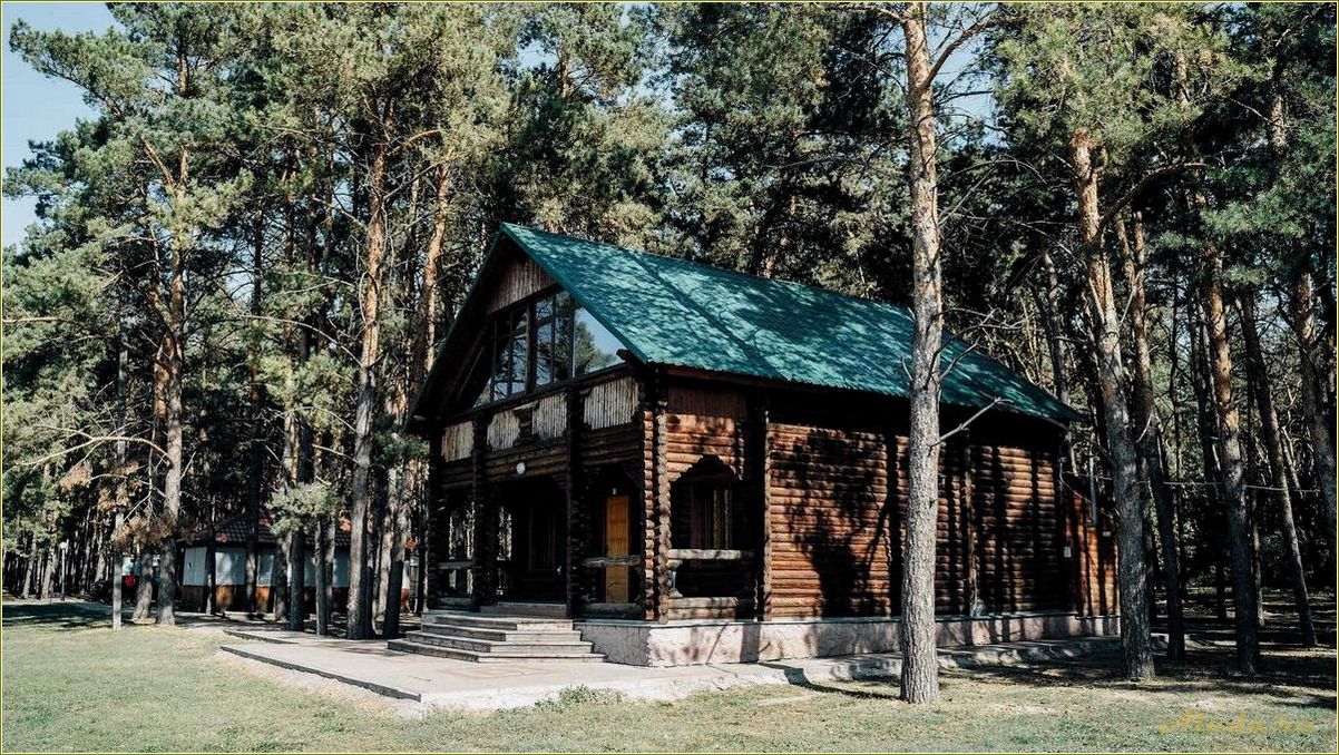 Челябинская область: отдых в сосновом лесу