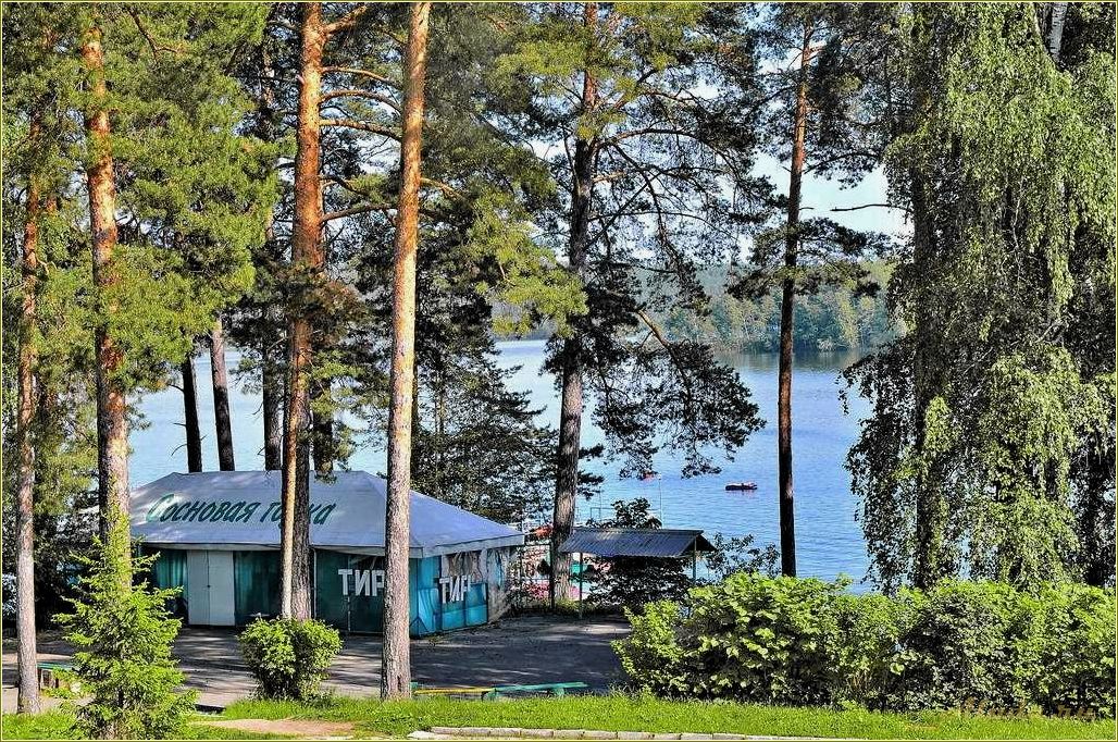 Челябинская область: отдых в сосновом лесу