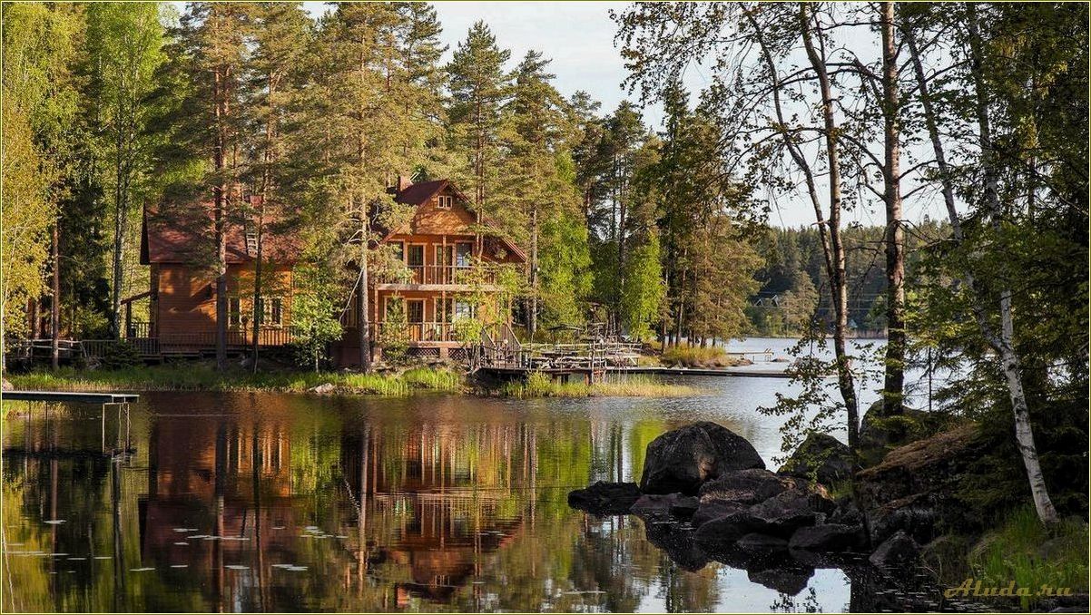 Челябинская область: отдых в сосновом лесу